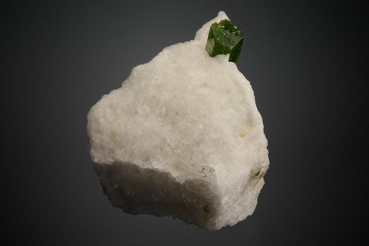 PARGASITE